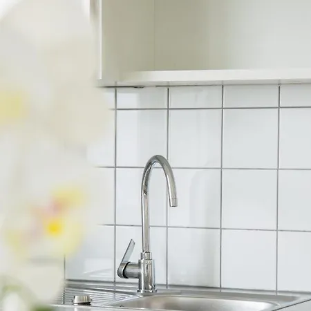 Lions Apartments - Erholung Und Vergnuegen In Bad Tatzmannsdorf Jormannsdorf Zewnętrze zdjęcie